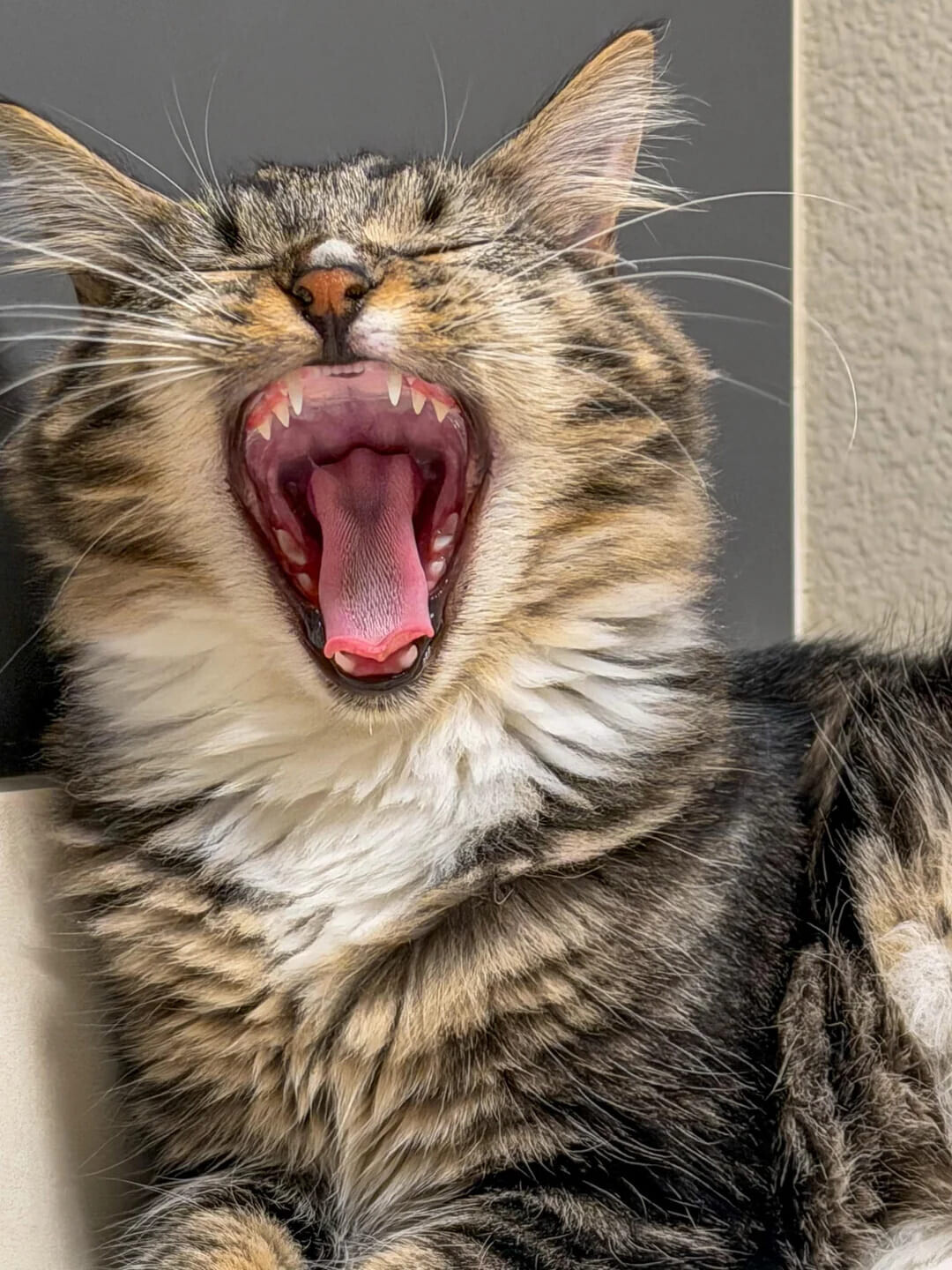 Photos That Are Too Good to Scroll Past