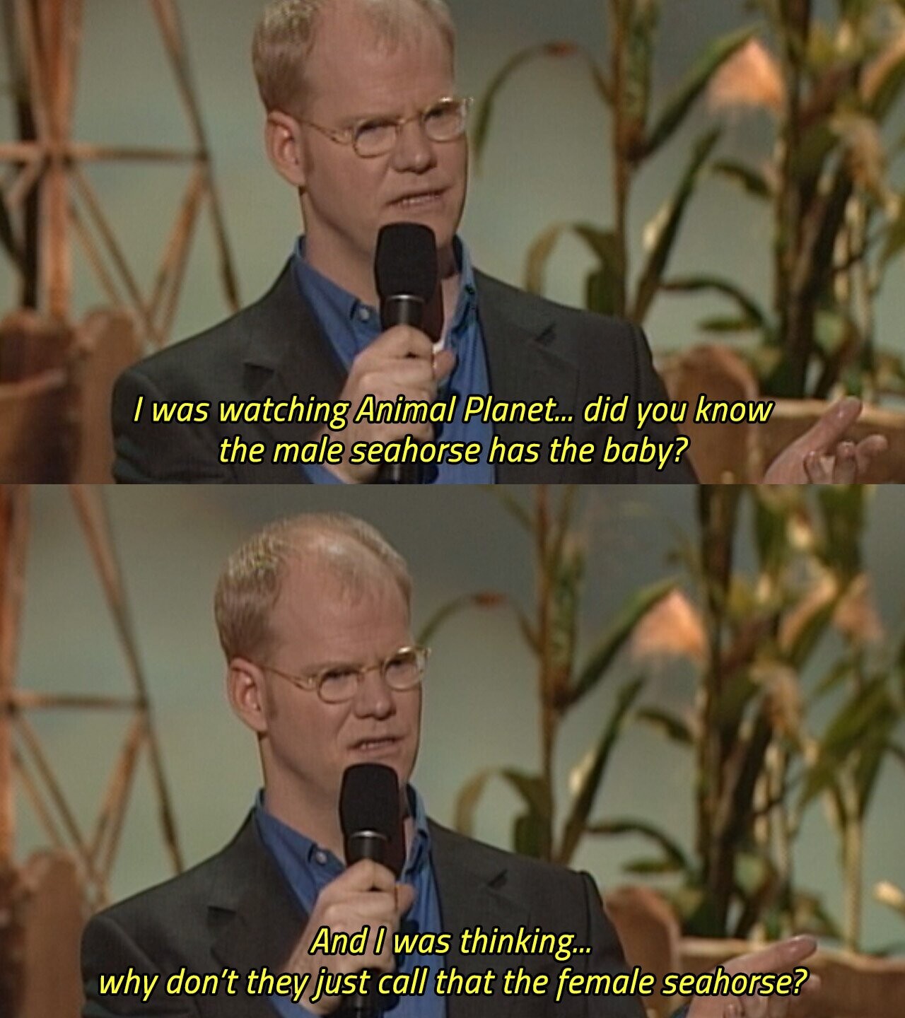 I was watching Animal Planet... did you know the male seahorse has the baby? And I was thinking... why don't they just call that the female seahorse? 