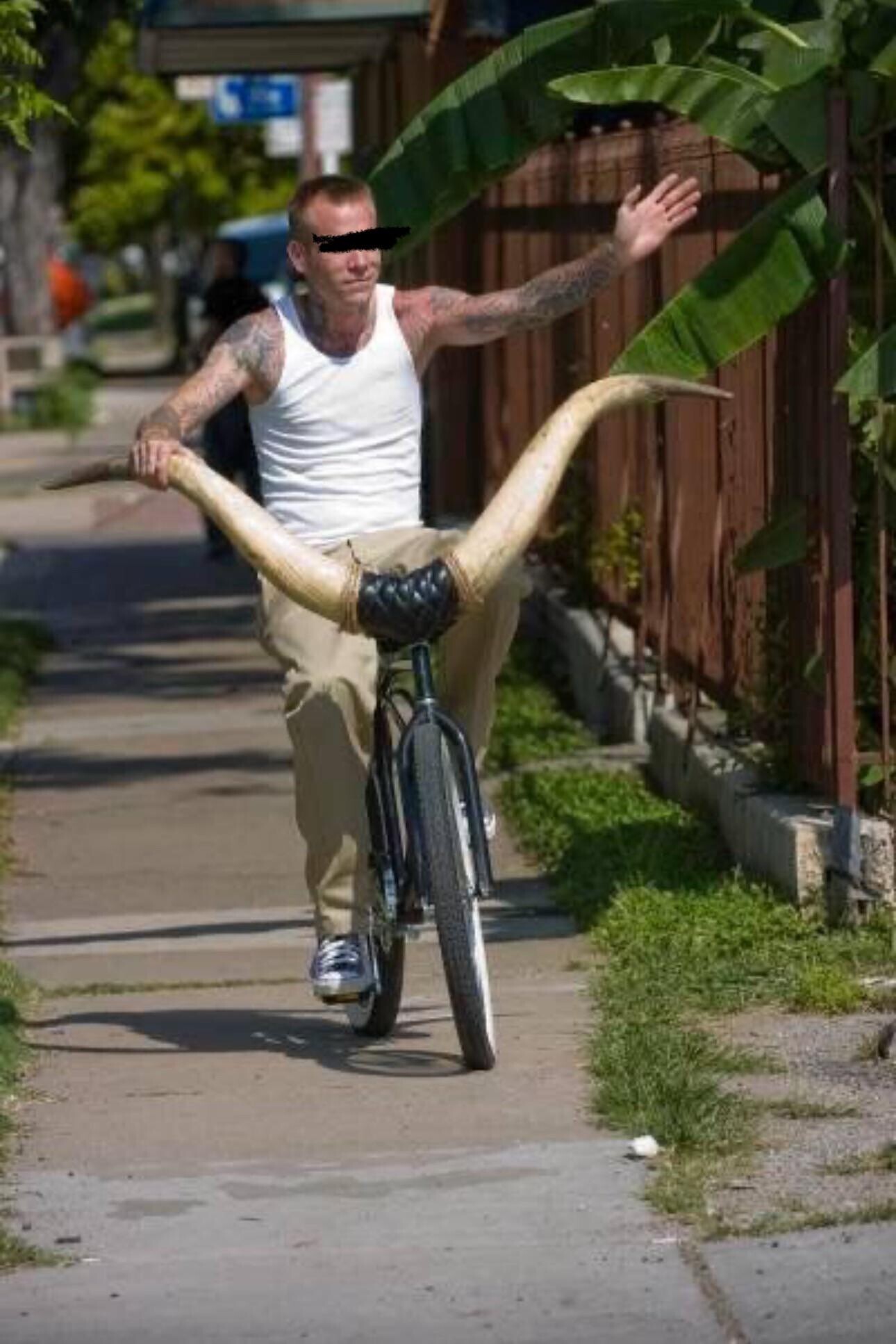 Photos Where Humanity's Common Sense is Put into Doubt