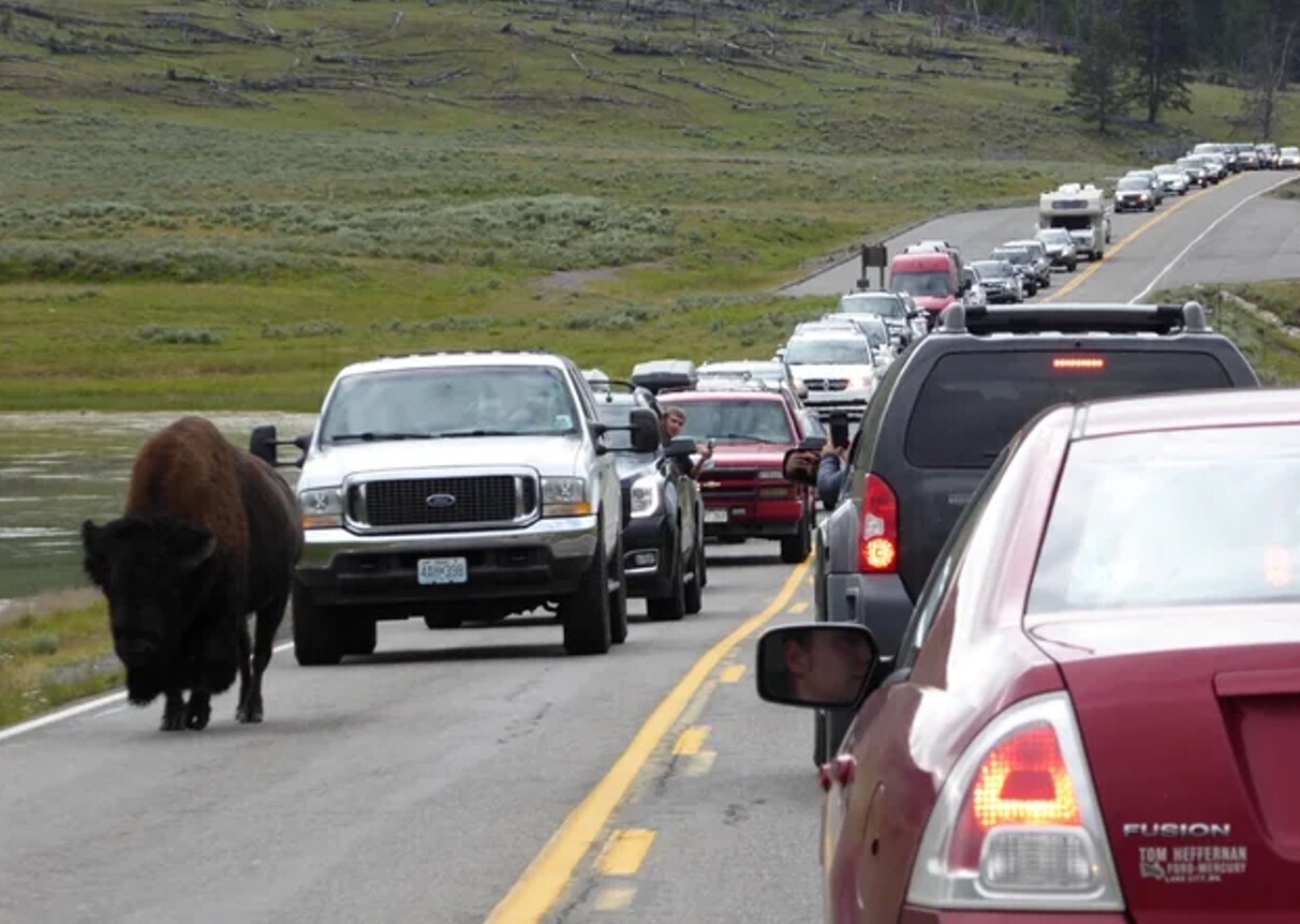 Striking Photos of Yellowstone, America's Unique Land