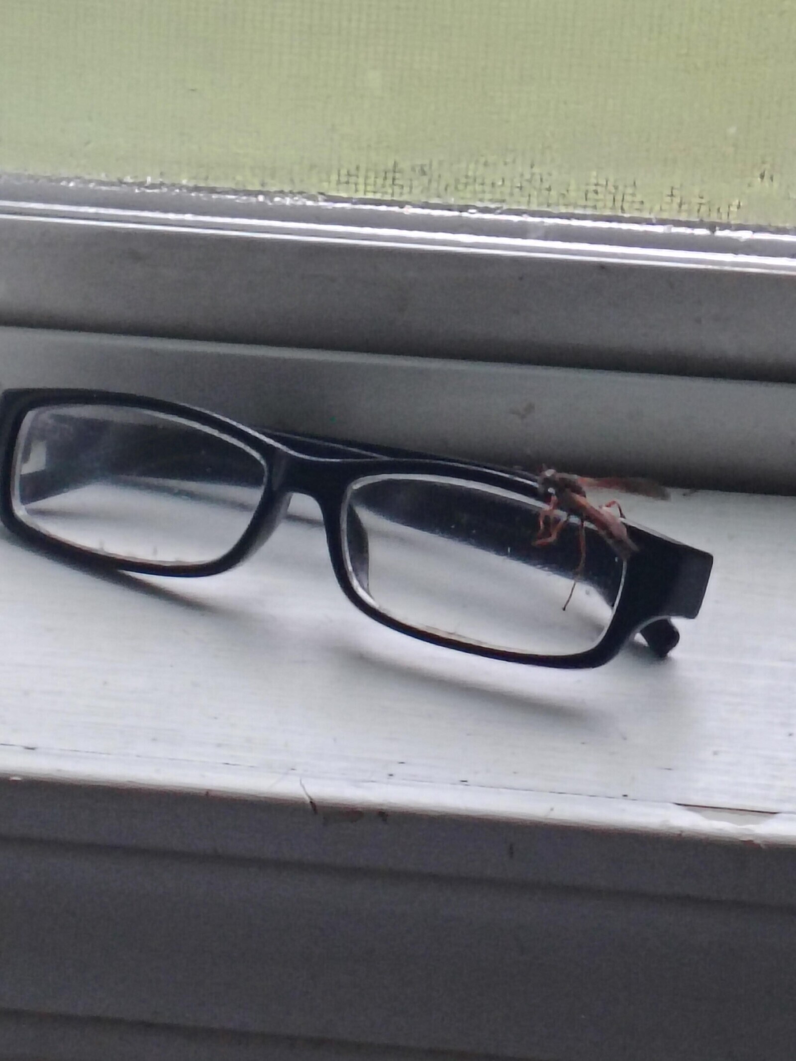 Photos That Make You Want to Press the Restart Button