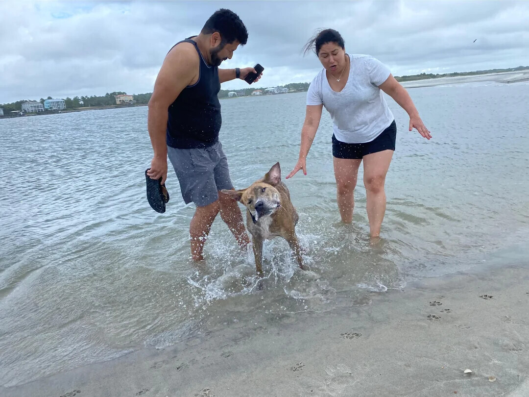 Photos Where We Don't Need Context to Understand