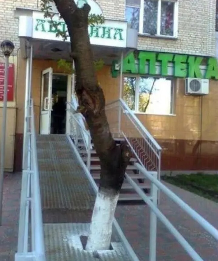 20 Photos Where the Brain Wasn't Involved