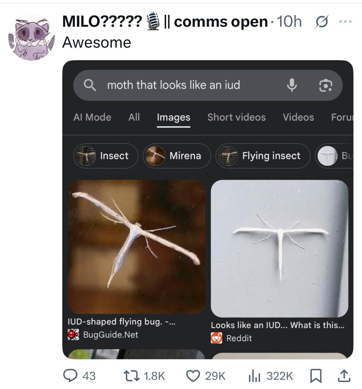 MILO????? Il comms open 10h s ... Awesome moth that looks like an iud Al Mode All Short videos Videos Images Foru Mirena Insect Flying insect Bu IUD-shaped flying bug. -... Looks like an IUD... What is this... BugGuide.Net Reddit 43 1.8K 29K 322K 