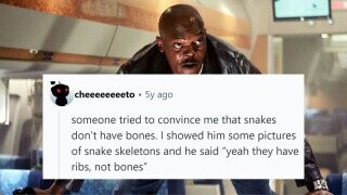 32 of the Dumbest Things People Have Earnestly Said