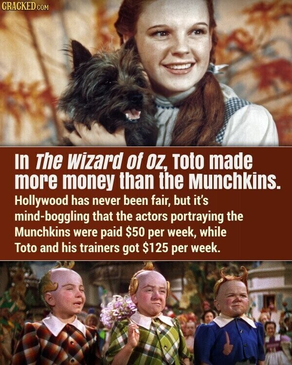 CRACKED.COM In The wizard of OZ, Toto made more money than the Munchkins. Hollywood has never been fair, but it's mind-boggling that the actors portraying the Munchkins were paid $50 per week, while Toto and his trainers got $125 per week.