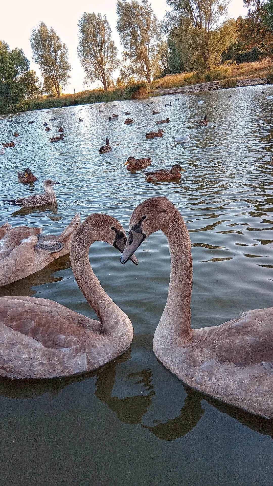 Photos That Are Too Good to Scroll Past