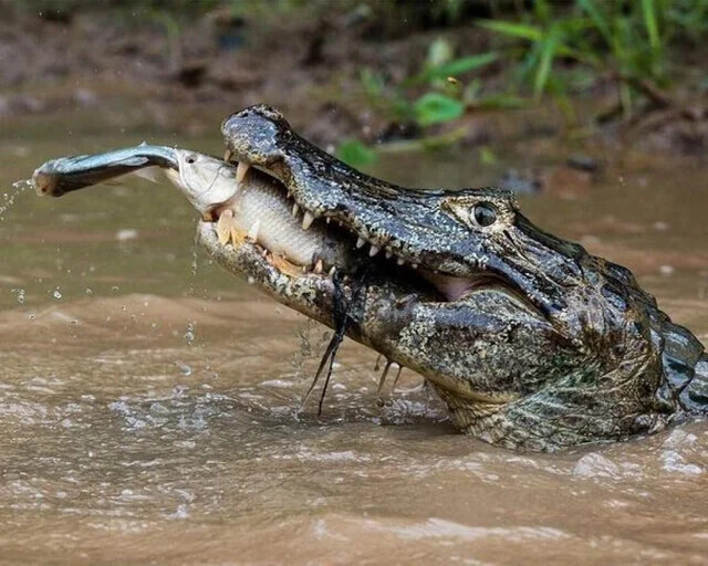 Photos Where We Don't Need Context to Understand