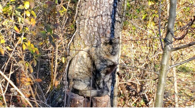 Photos That Look Stock Standard Until You Zoom In