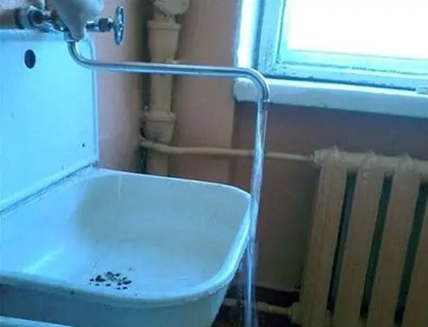 20 Photos Where the Brain Wasn't Involved