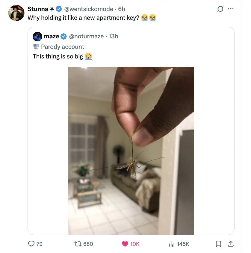 Stunna @wentsickomode . 6h G ... Why holding it like a new apartment key? maze @noturmaze 13h Parody account This thing is so big 79 680 10K 145K