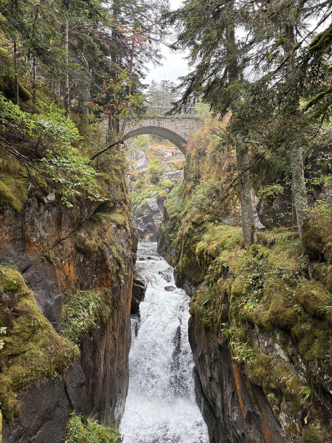 Photos That Are Too Good to Scroll Past