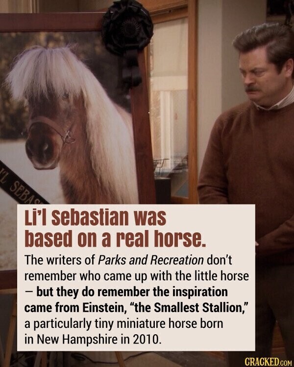 IL SEBAS Li'l sebastian was based on a real horse. The writers of Parks and Recreation don't remember who came up with the little horse - but they do remember the inspiration came from Einstein, the Smallest Stallion, a particularly tiny miniature horse born in New Hampshire in 2010. CRACKED.COM