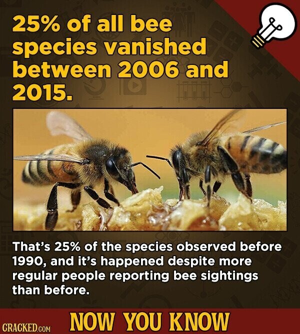 25% of all bee species vanished between 2006 and 2015. That's 25% of the species observed before 1990, and it's happened despite more regular people reporting bee sightings than before. NOW YOU KNOW CRACKED.COM