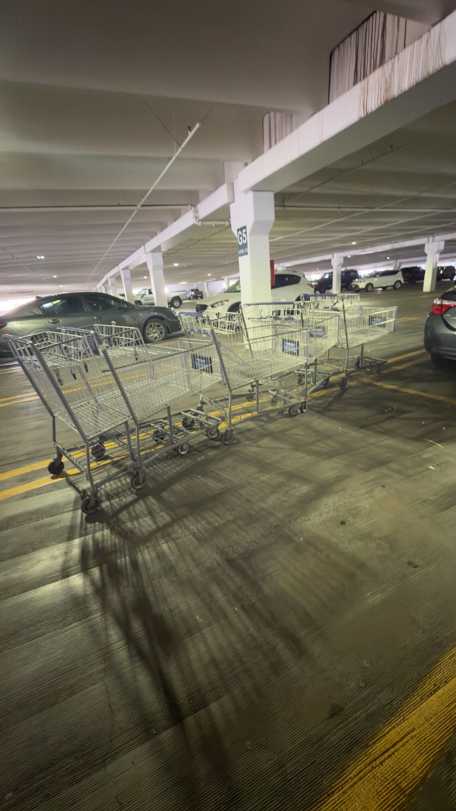 Photos Where Humanity's Common Sense is Put into Doubt