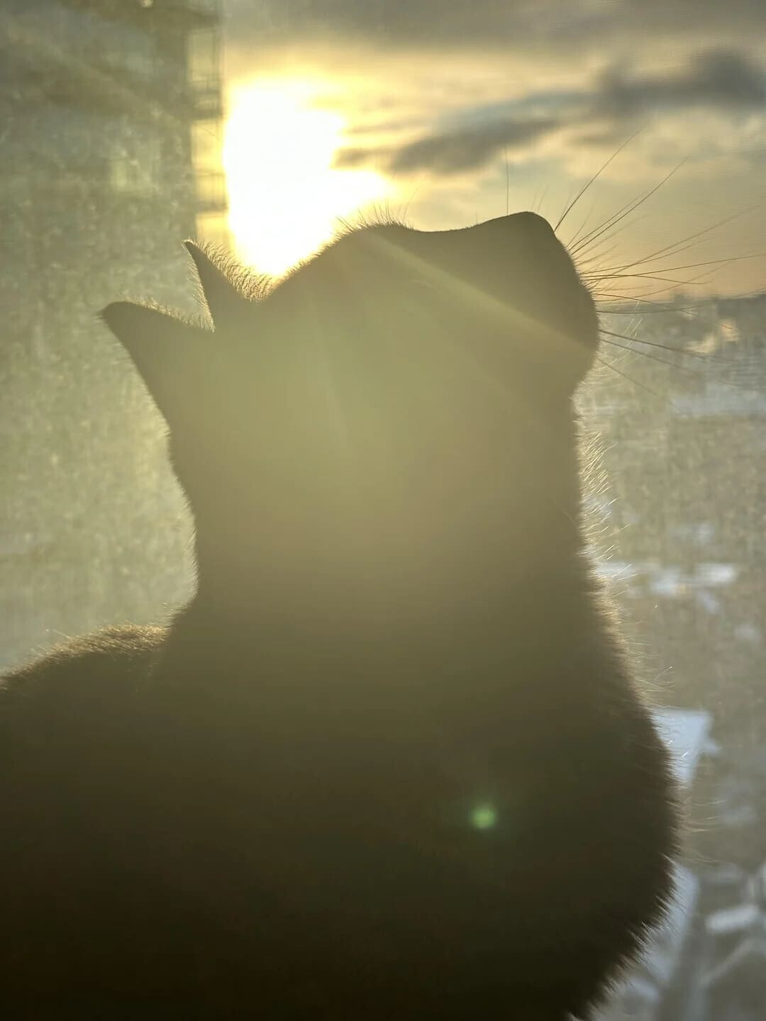 Photos That Are Too Good to Scroll Past