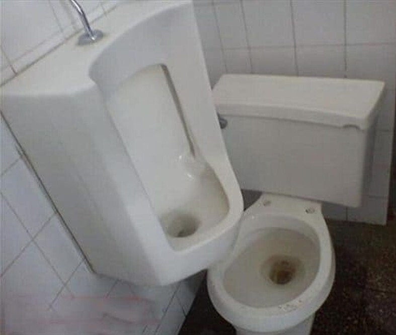 20 Photos Where the Brain Wasn't Involved