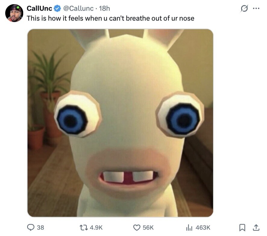 CallUnc @Callunc 18h S ... This is how it feels when u can't breathe out of ur nose 38 4.9K 56K 463K