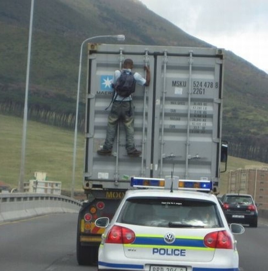 20 Photos Where the Brain Wasn't Involved