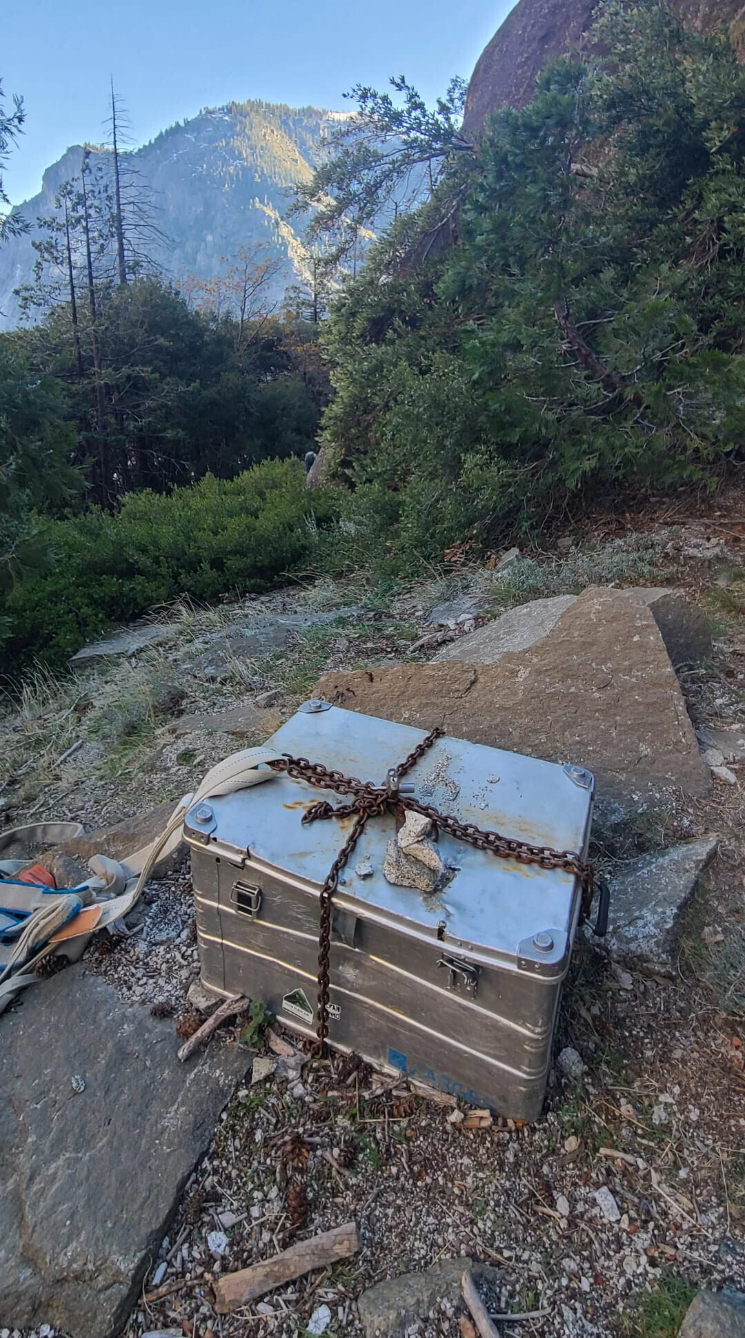 Photos That Are Too Good to Scroll Past