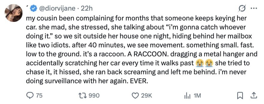 @diorvijane 22h ... my cousin been complaining for months that someone keeps keying her car. she mad, she stressed, she talking about i'm gonna catch whoever doing it. so we sit outside her house one night, hiding behind her mailbox like two idiots. after 40 minutes, we see movement. something small. fast. low to the ground. it's a raccoon. A RACCOON. dragging a metal hanger and accidentally scratching her car every time it walks past she tried to chase it, it hissed, she ran back screaming and left me behind. i'm never doing surveillance with her again. EVER. 75 990