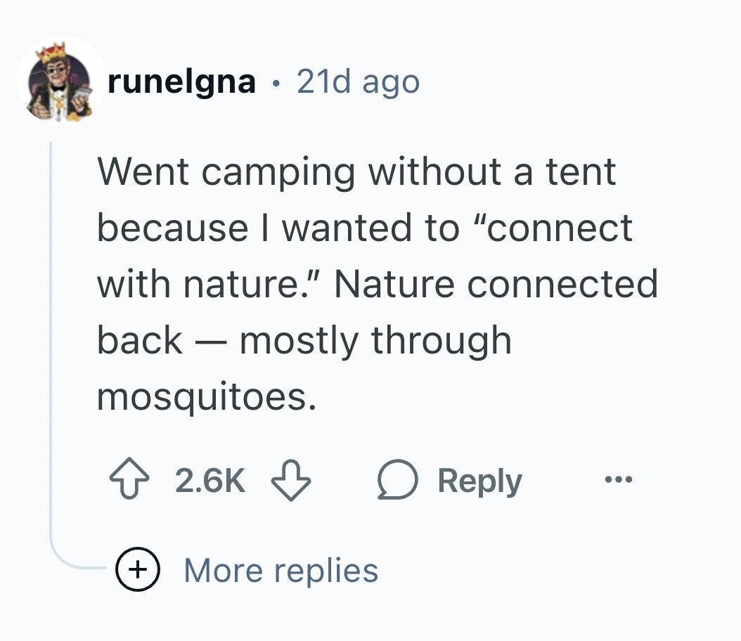 runelgna e 21d ago Went camping without a tent because I wanted to connect with nature. Nature connected back - mostly through mosquitoes. 2.6K Reply ... + More replies