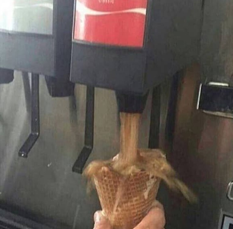 20 Photos Where the Brain Wasn't Involved