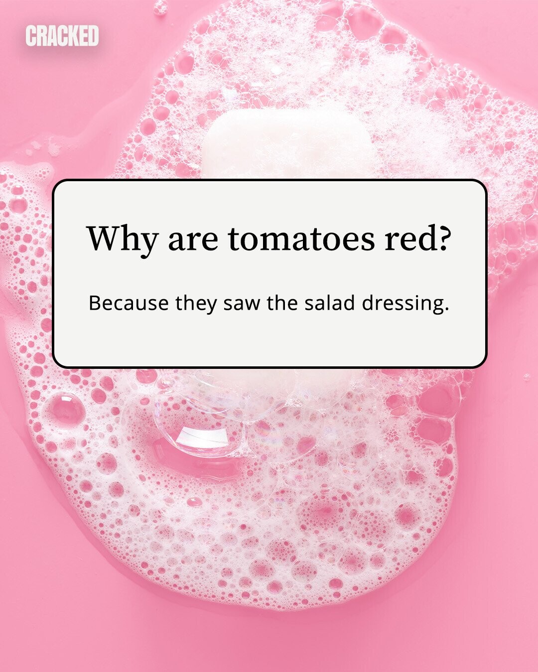 CRACKED Why are tomatoes red? Because they saw the salad dressing. 