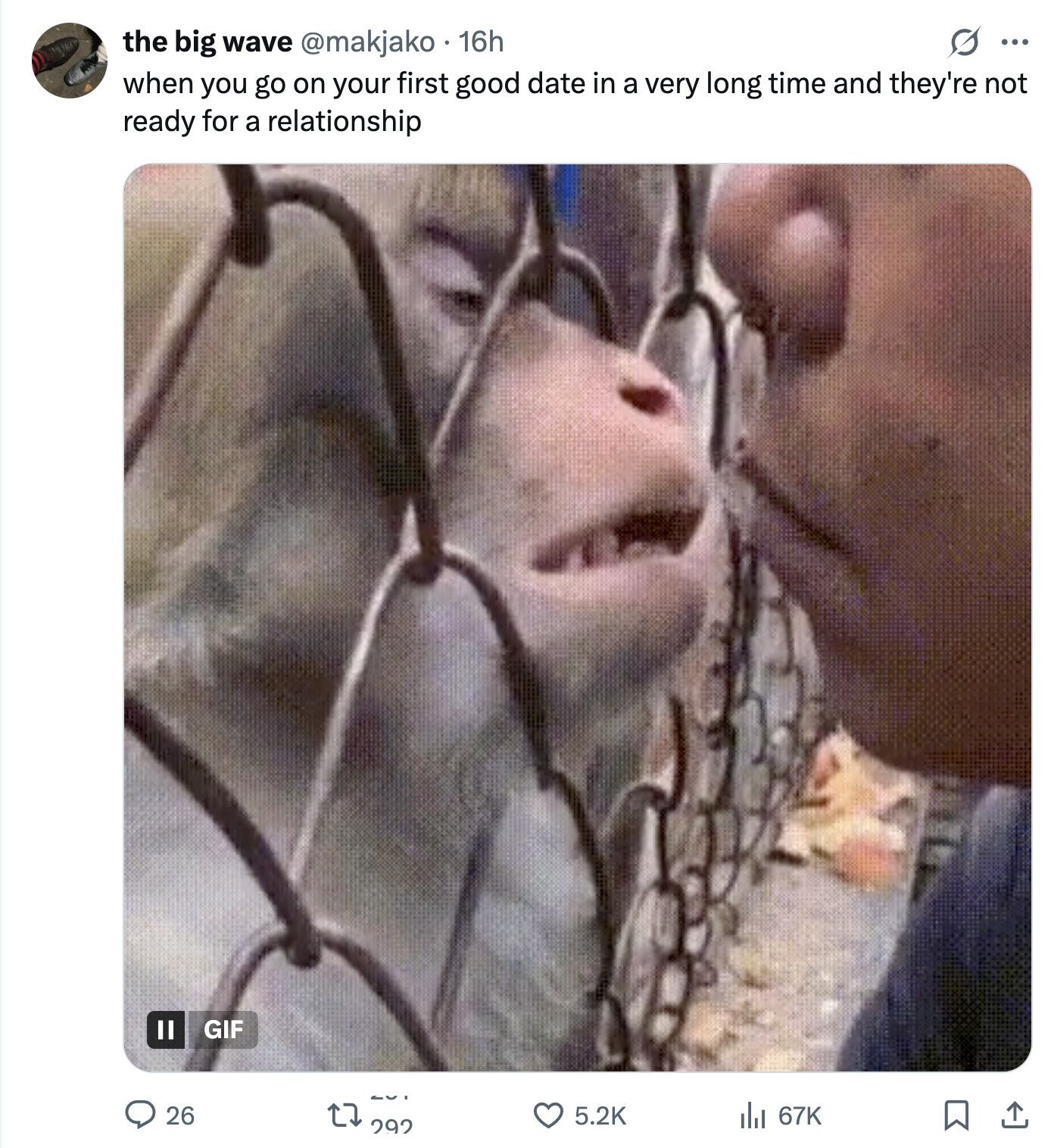 O ... the big wave @makjako 16h when you go on your first good date in a very long time and they're not ready for a relationship Il GIF 26 5.2K del 67K 292 