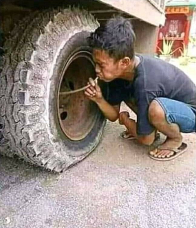 20 Photos Where the Brain Wasn't Involved