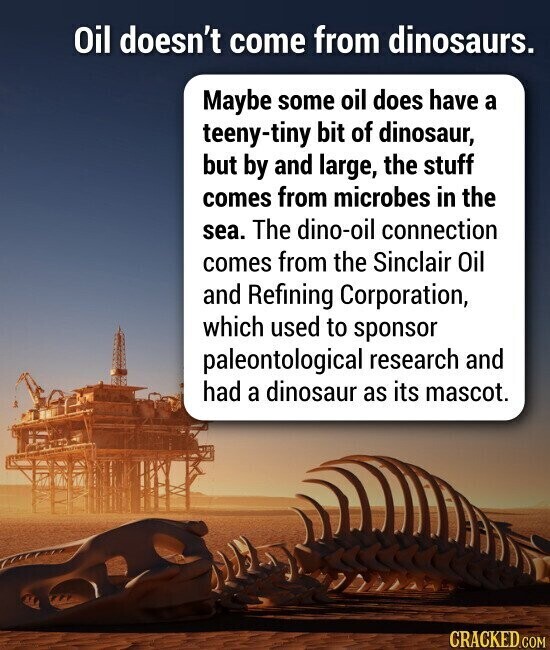 Oil doesn't come from dinosaurs. Maybe some oil does have a teeny-tiny bit of dinosaur, but by and large, the stuff comes from microbes in the sea. The dino-oil connection comes from the Sinclair Oil and Refining Corporation, which used to sponsor paleontological research and had a dinosaur as its mascot. CRACKED.COM
