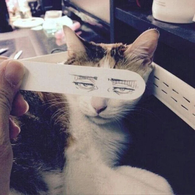 Photos Where We Don't Really Know What's Happening