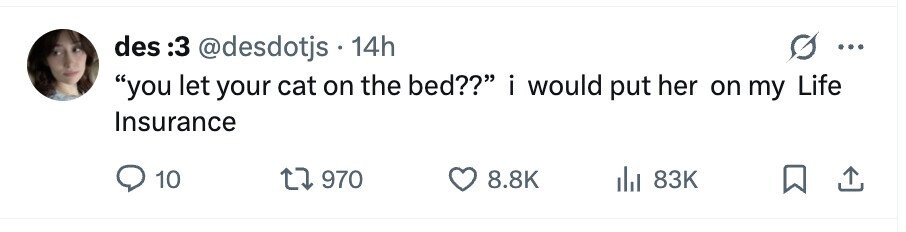 des 3: @desdotjs 14h ... you let your cat on the bed?? i would put her on my Life Insurance 10 970 8.8K 83K