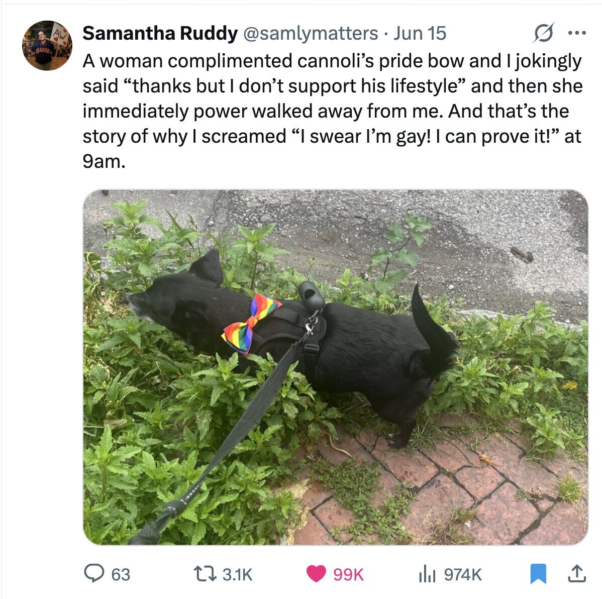 O ... Samantha Ruddy @samlymatters Jun 15 A woman complimented cannoli's pride bow and I jokingly said thanks but I don't support his lifestyle and then she immediately power walked away from me. And that's the story of why I screamed I swear I'm gay! I can prove it! at 9am. 63 3.1K 99K 974K