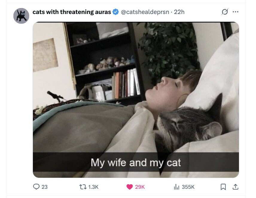 O cats with threatening auras @catshealdeprsn 2 22h ... My wife and my cat 23 1.3K 29K 355K 