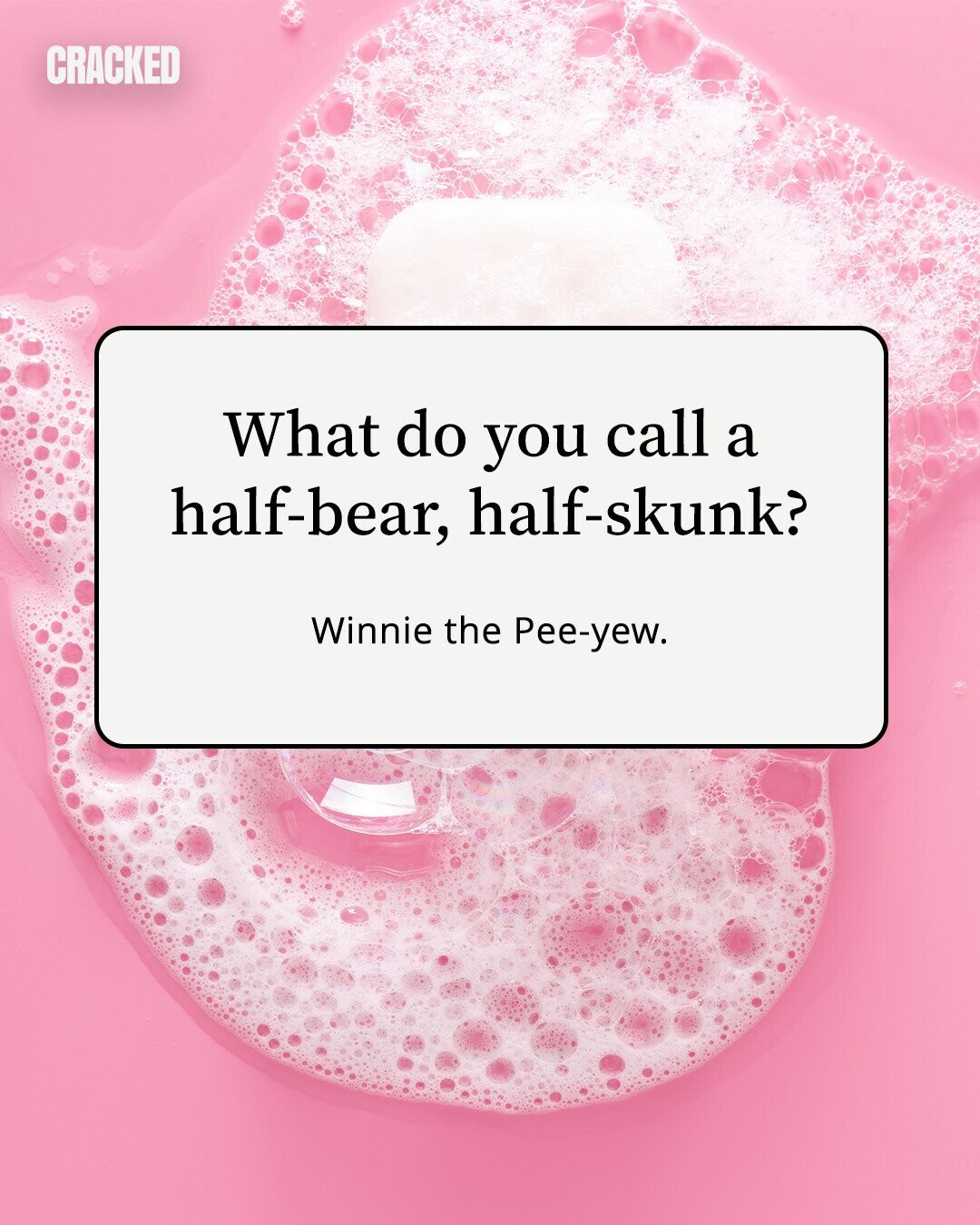 CRACKED What do you call a half-bear, half-skunk? Winnie the Pee-yew. 