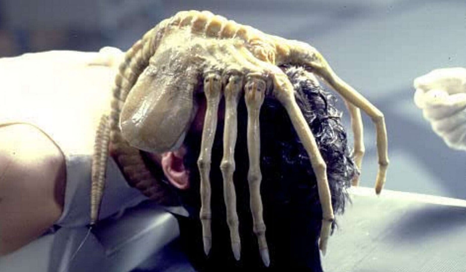 7 Movies That Aren’t About What You Think They Are | Cracked.com