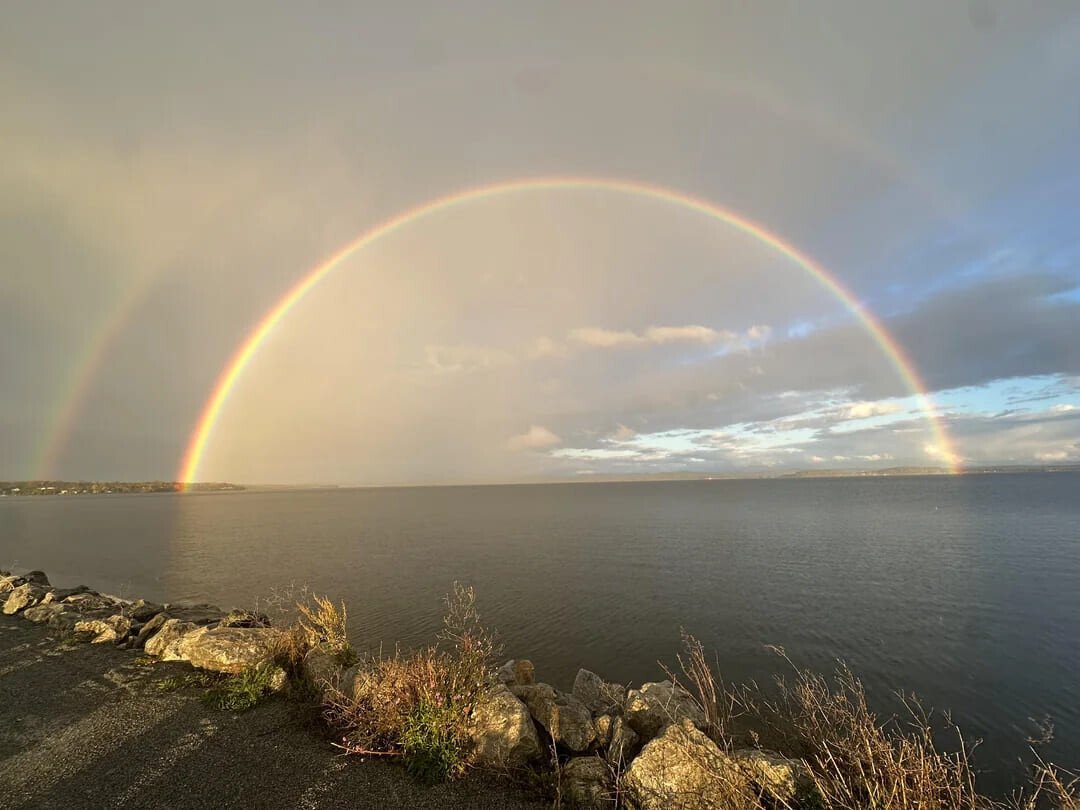 One-of-a-Kind Photos Not Everyone Has Come Across