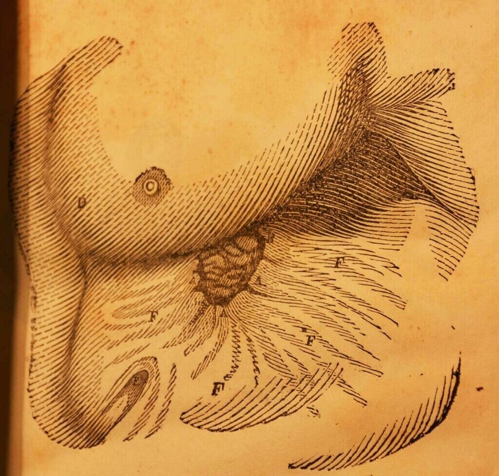 Photos Where Doing Science Meant Almost Anything