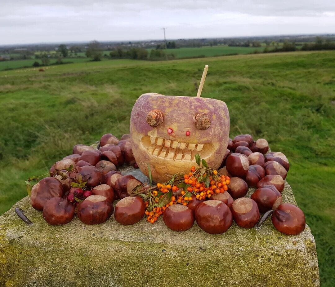 Pathetic Pumpkins That Have Lost the Will to Live