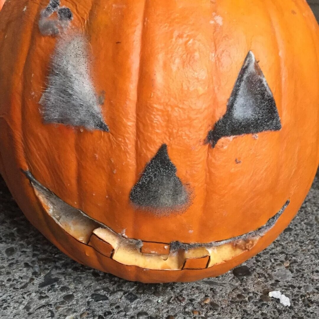 Pathetic Pumpkins That Have Lost the Will to Live