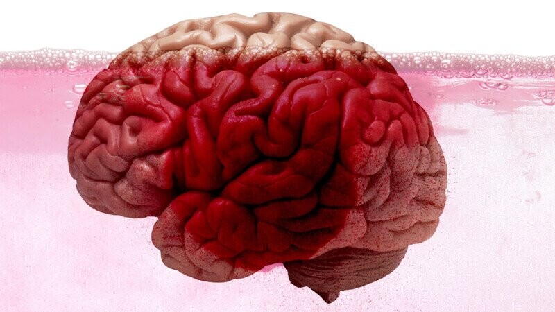 40 Random Bits of Trivia to Drop in Your Noggin Like So Many Bath Bombs