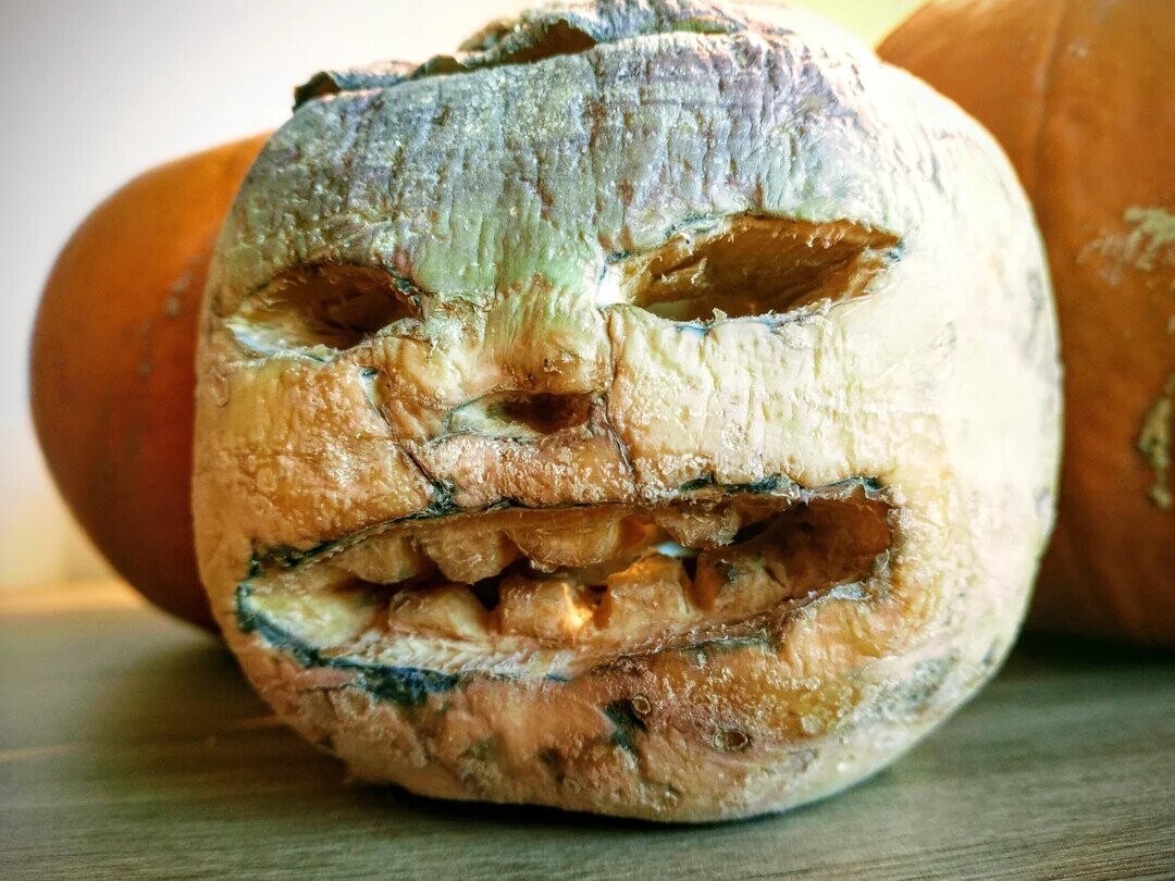 Pathetic Pumpkins That Have Lost the Will to Live