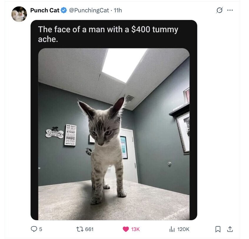 Punch Cat @PunchingCat - 11h G ... The face of a man with a $400 tummy ache. Crazy Live Here 5 661 13K 120K 