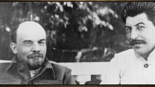 31 Random Bits of Trivia We Found Fossilized in Amber and Injected Into Frog DNA