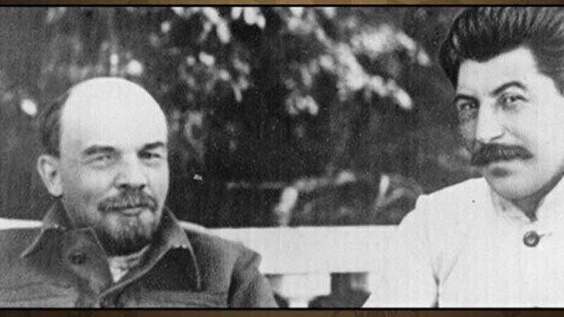 31 Random Bits of Trivia We Found Fossilized in Amber and Injected Into Frog DNA