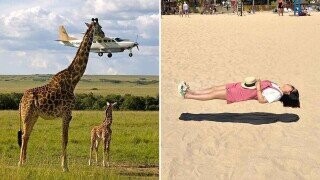 Random Photos of Anything to Keep You On Your Toes