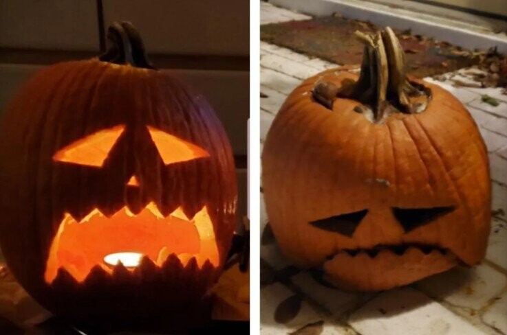 Pathetic Pumpkins That Have Lost the Will to Live