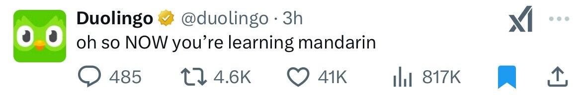 Duolingo @duolingo . 3h x ... oh so NOW you're learning mandarin 485 4.6K 41K 817K