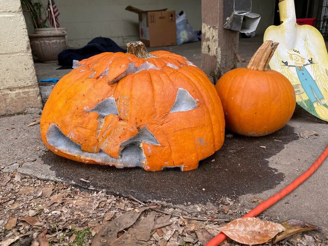 Pathetic Pumpkins That Have Lost the Will to Live